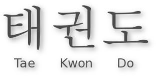 1. Taekwondo-Club Chemnitz e.V. - LOGO TKD